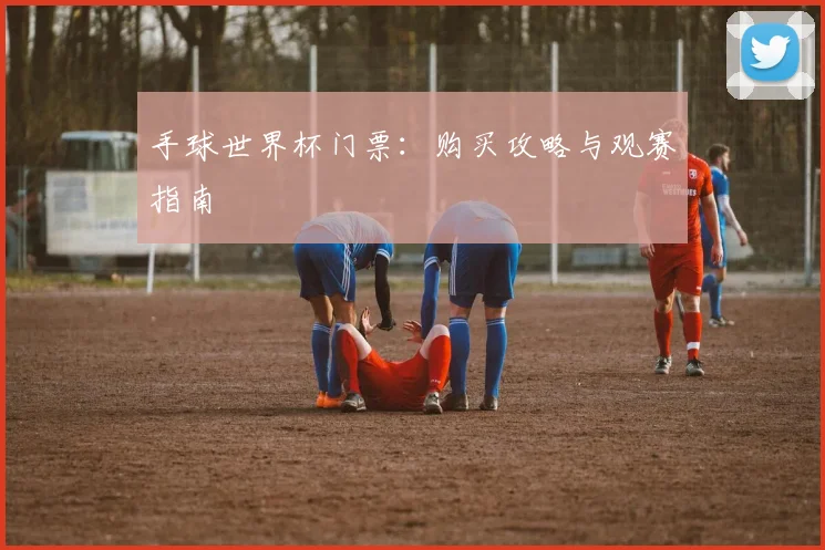 手球世界杯门票：购买攻略与观赛指南