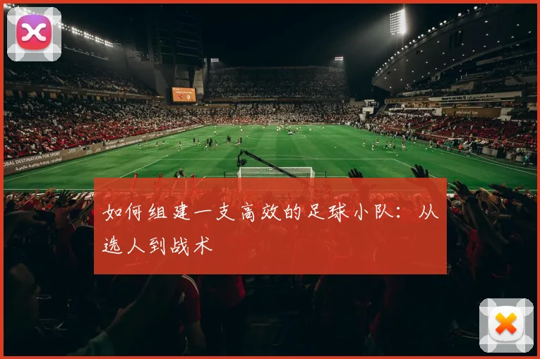 如何组建一支高效的足球小队:从选人到战术