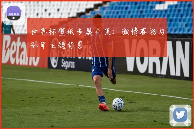 世界杯壁纸专属合集：激情赛场与冠军主题背景