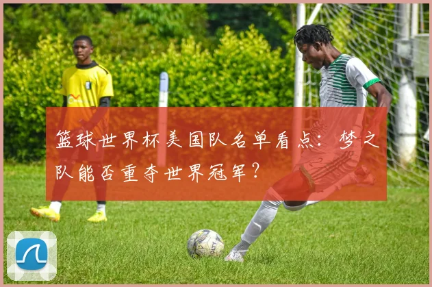 篮球世界杯美国队名单看点:梦之队能否重夺世界冠军?